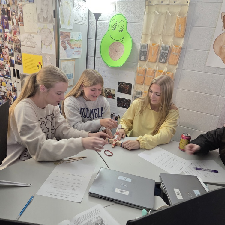 marshmallow catapult 