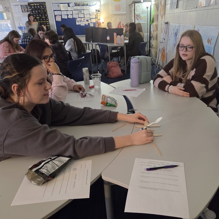 marshmallow catapult 