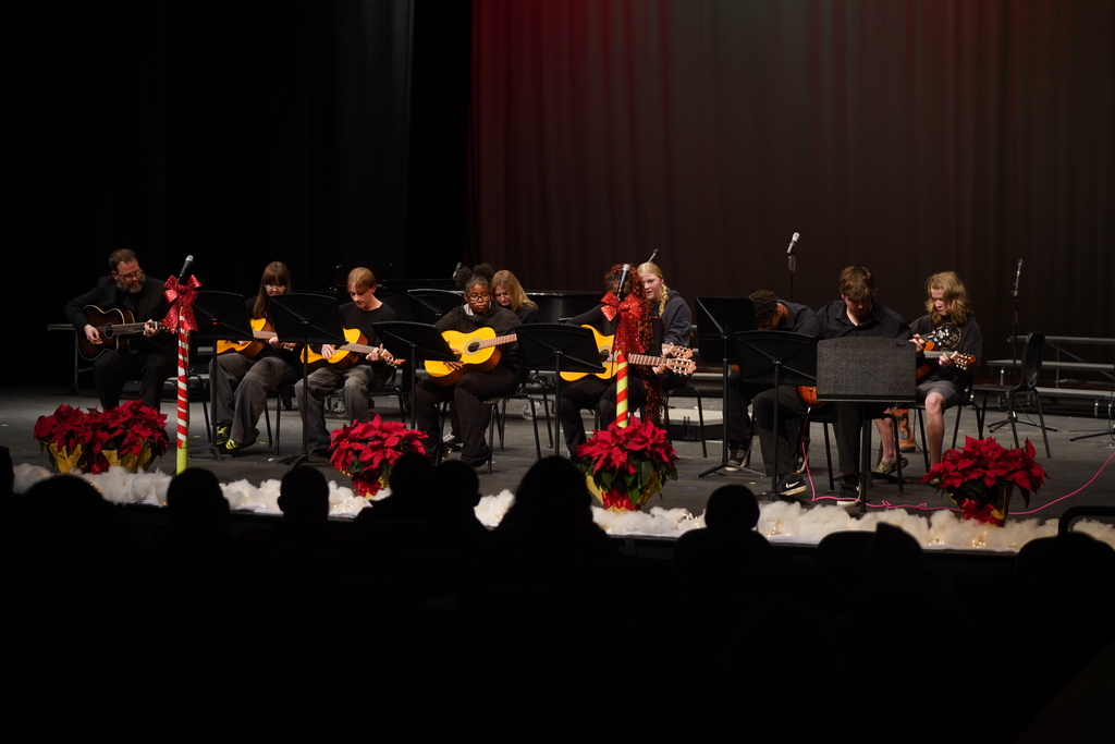 Mr. Alley's class received guitars through a grant from the South Carolina Arts Commission
