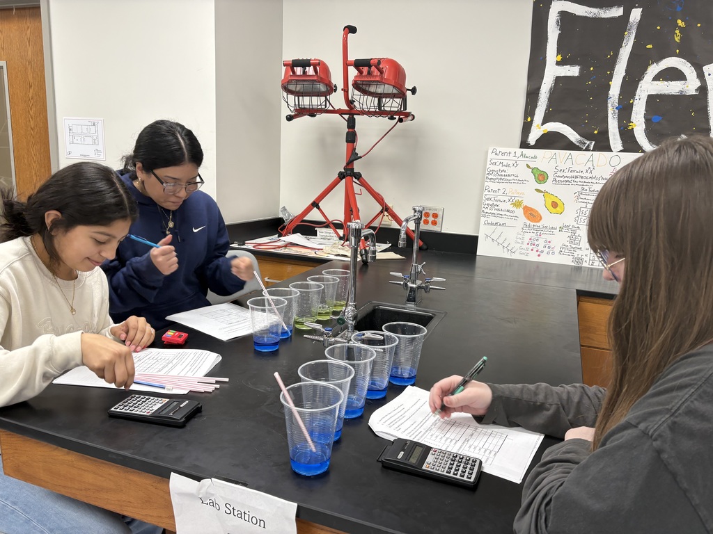 CO2 before and after excercise