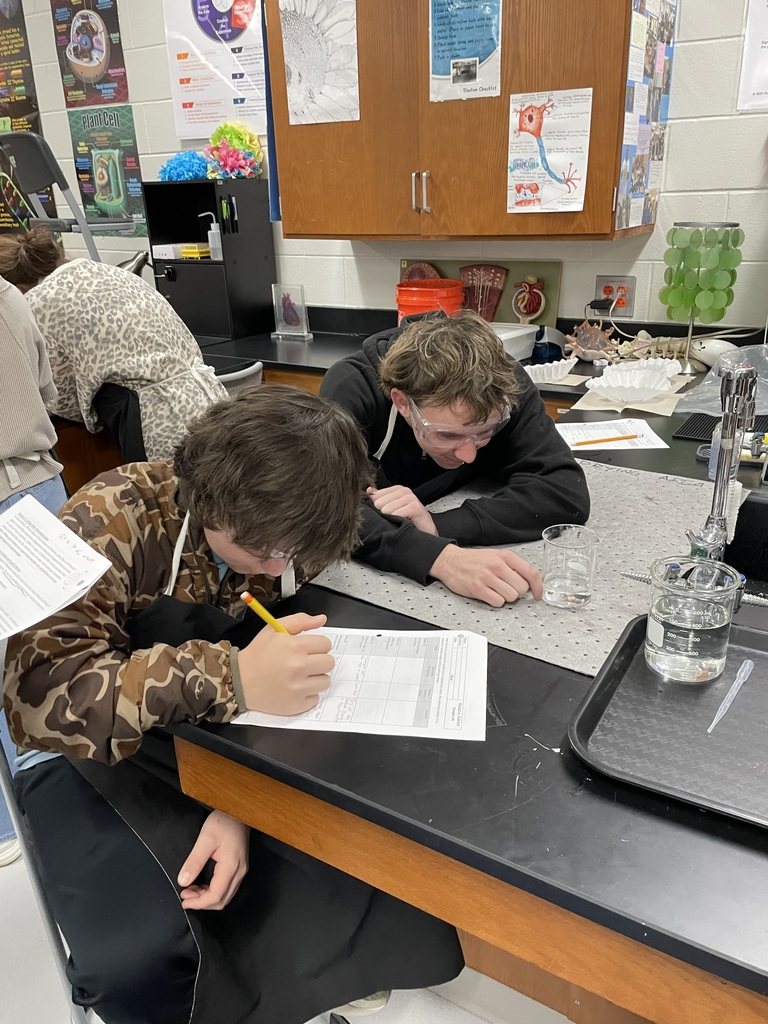 physical or chemical change