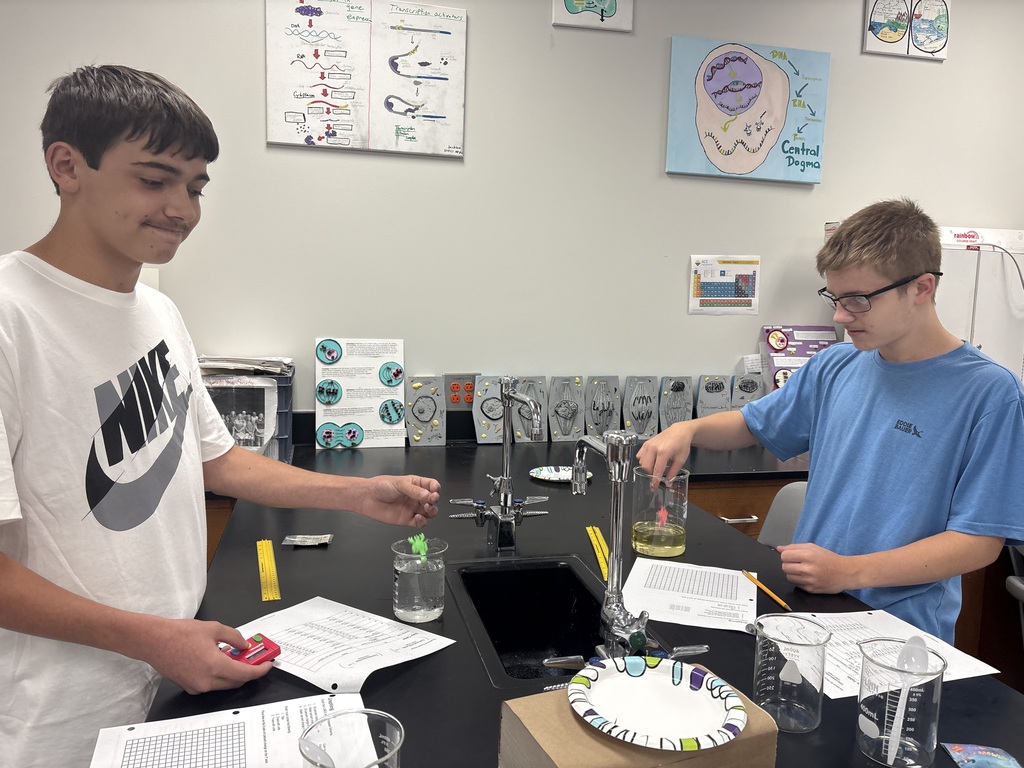 Teamwork and Polarity