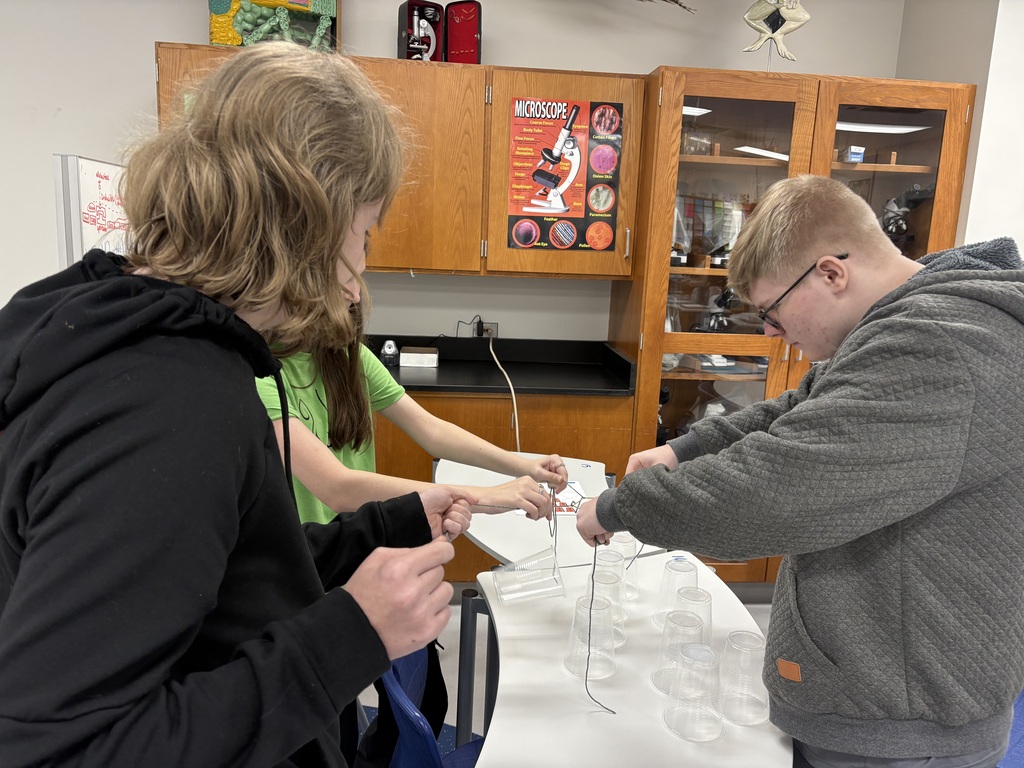 Teamwork and Polarity