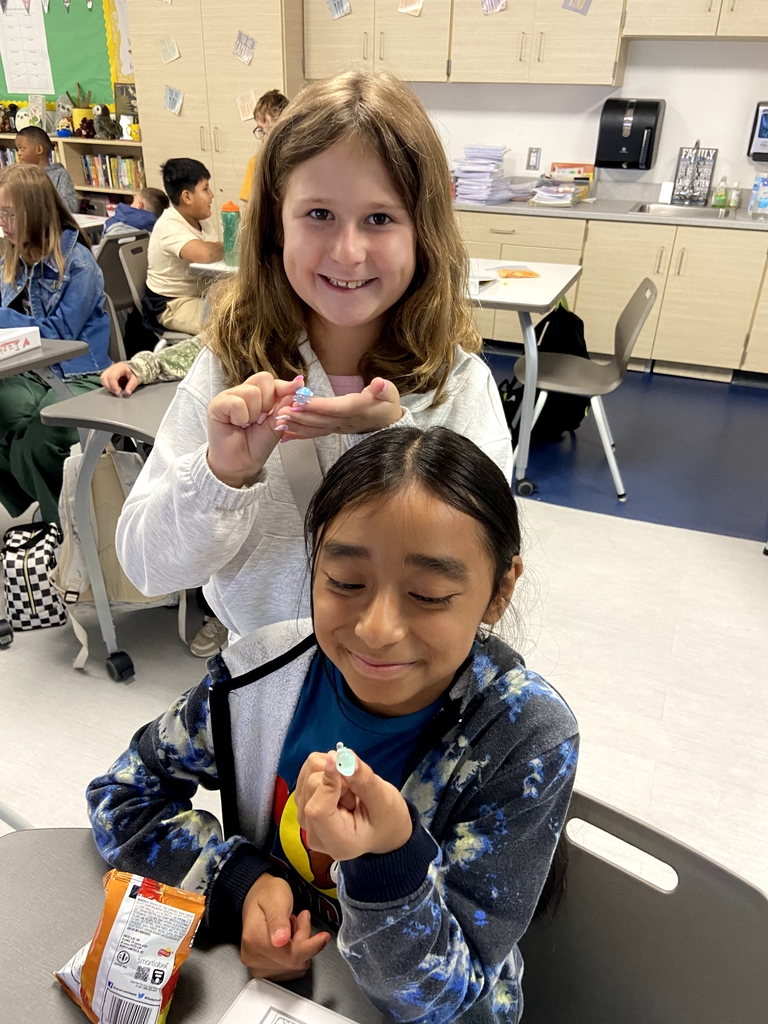 5th grade desk pets