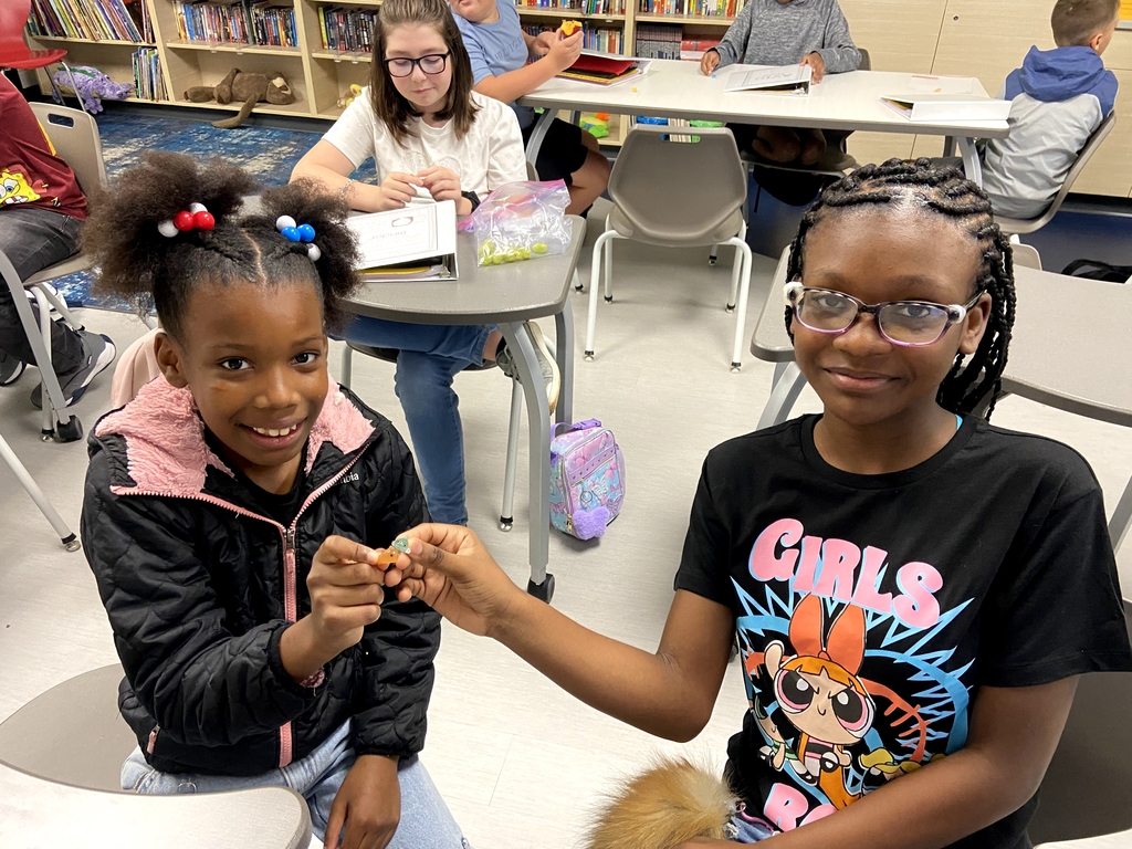 5th grade desk pets
