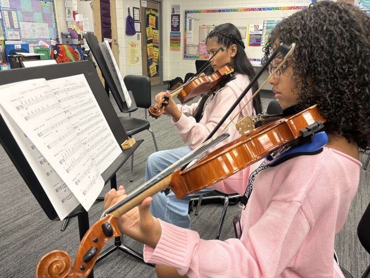 Orchestra