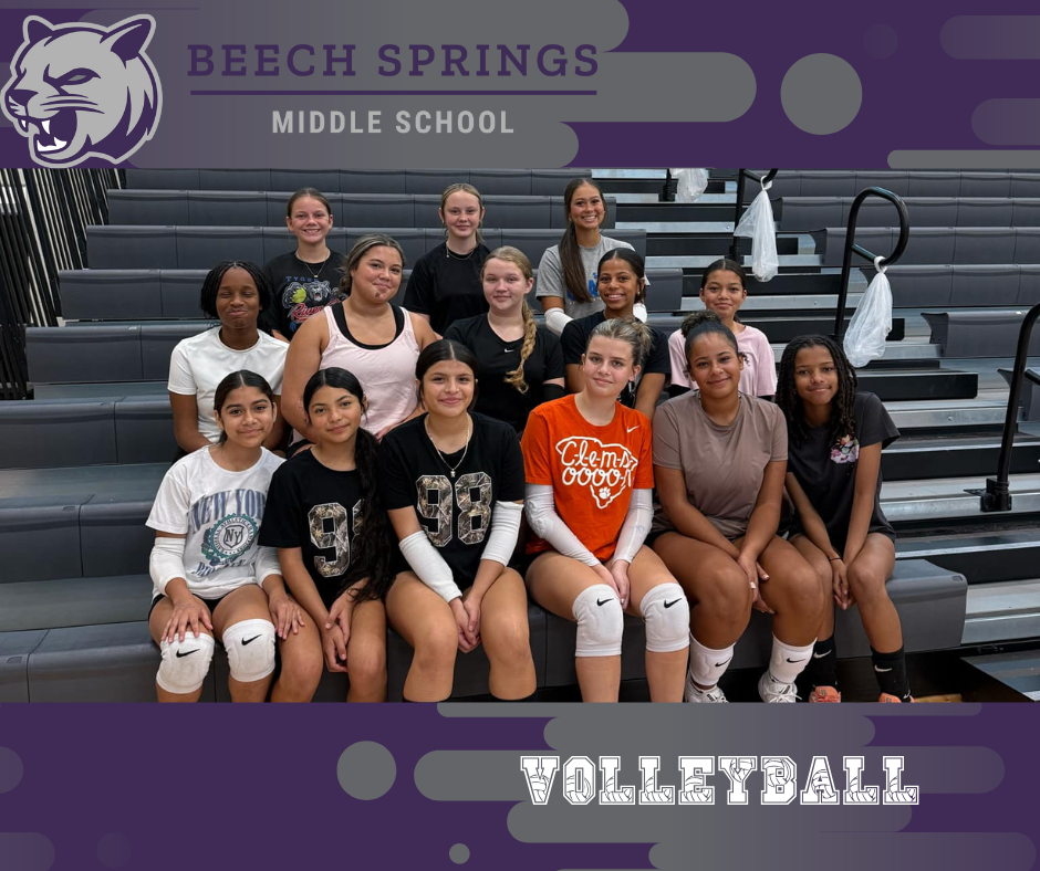 volleyball team