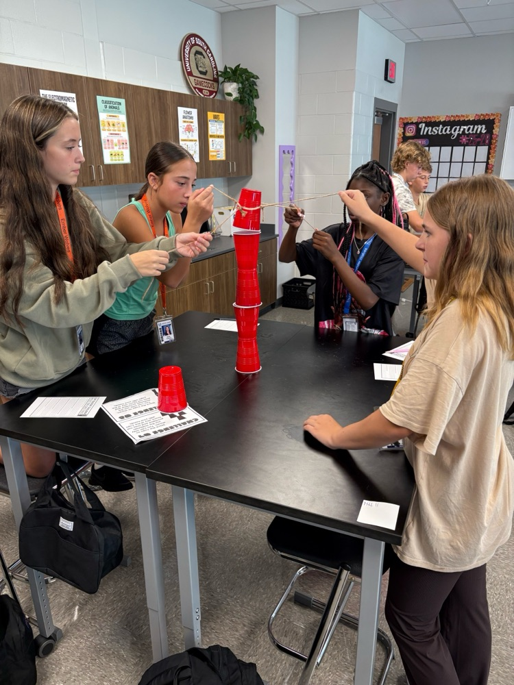 kids stacking cups