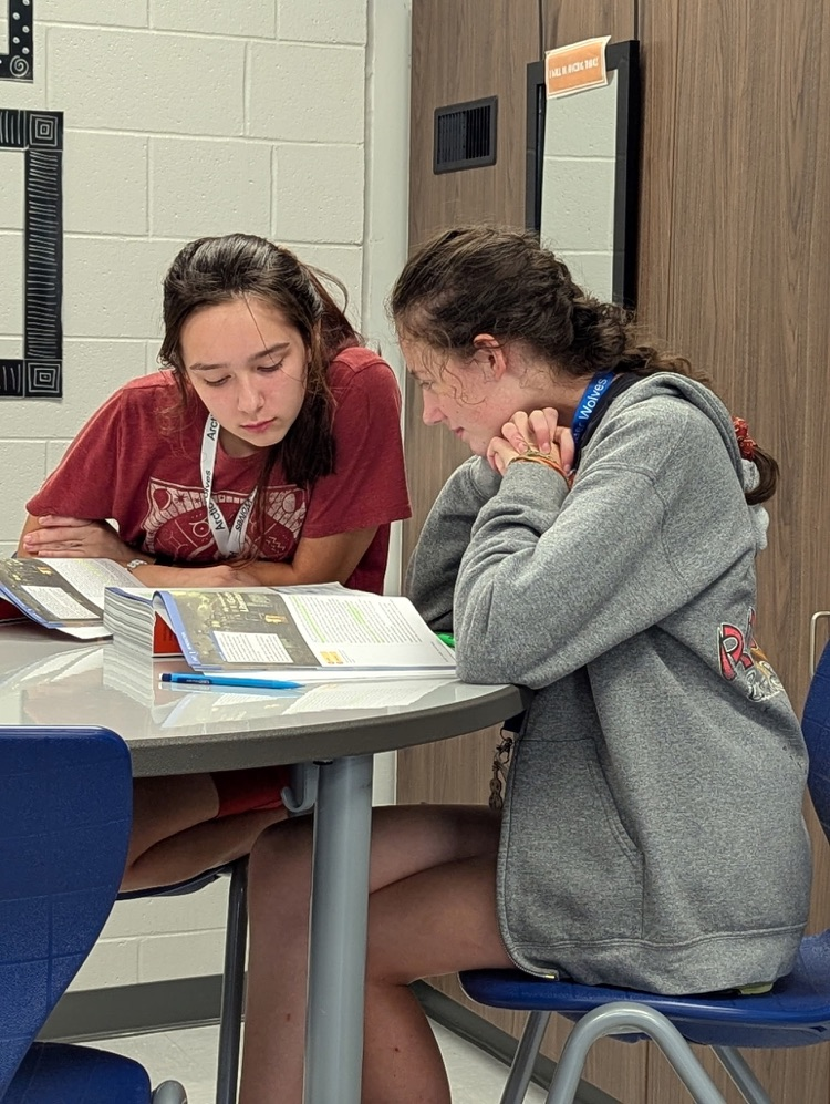 students reading in pairs
