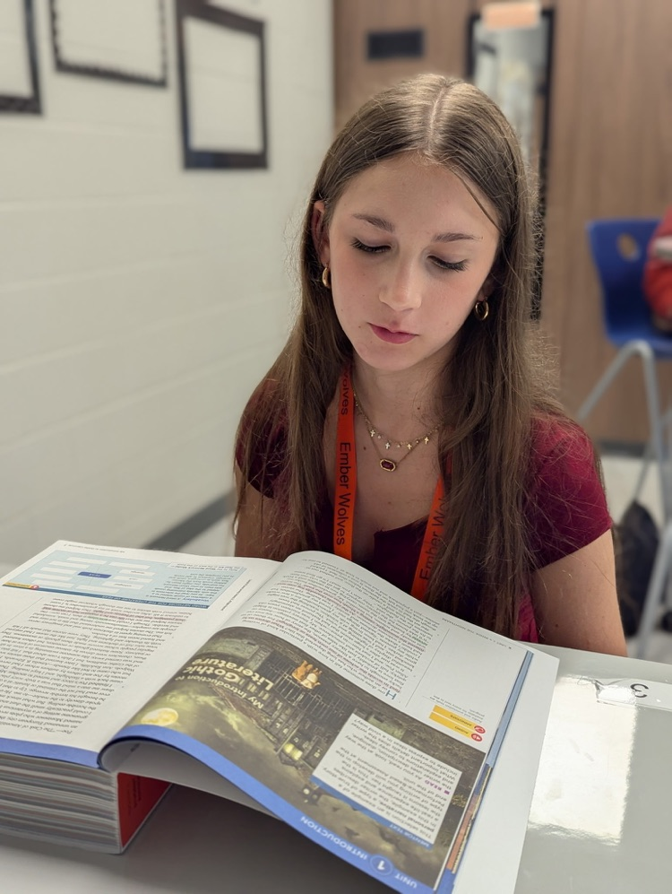 students reading in pairs