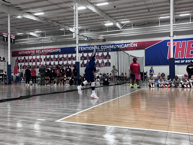 volleyball team