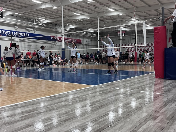 volleyball team