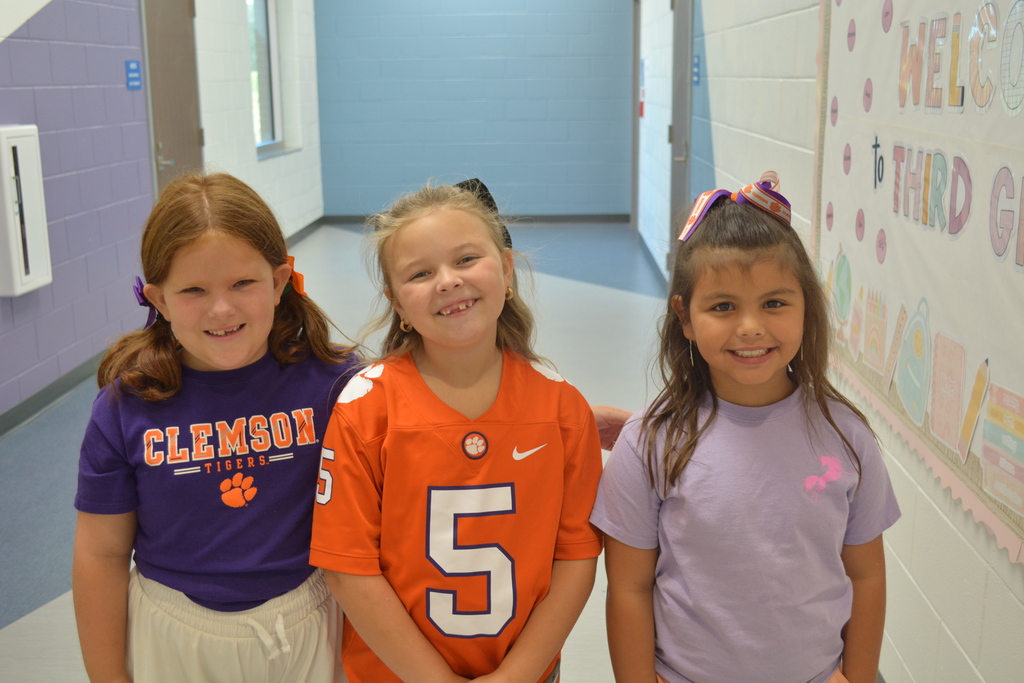 college colors day