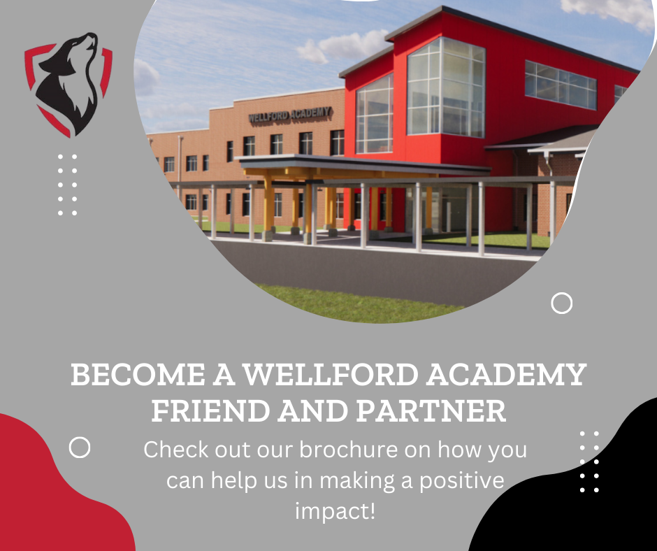 Friends and Partners Program