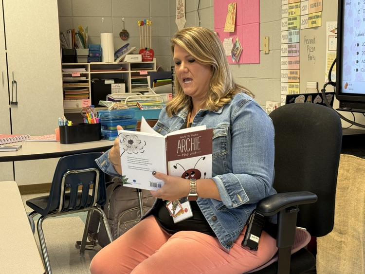 mystery reader
