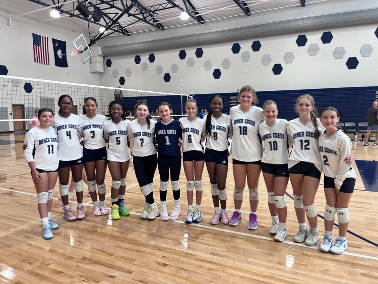 volleyball team