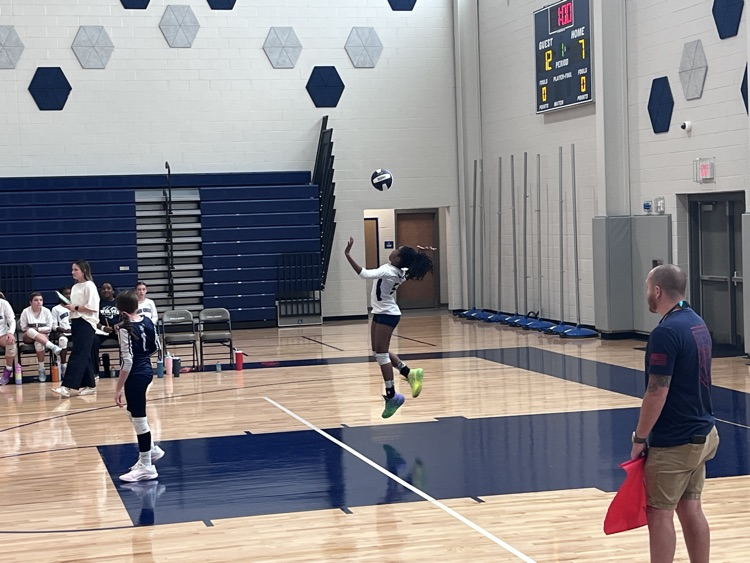 volleyball team