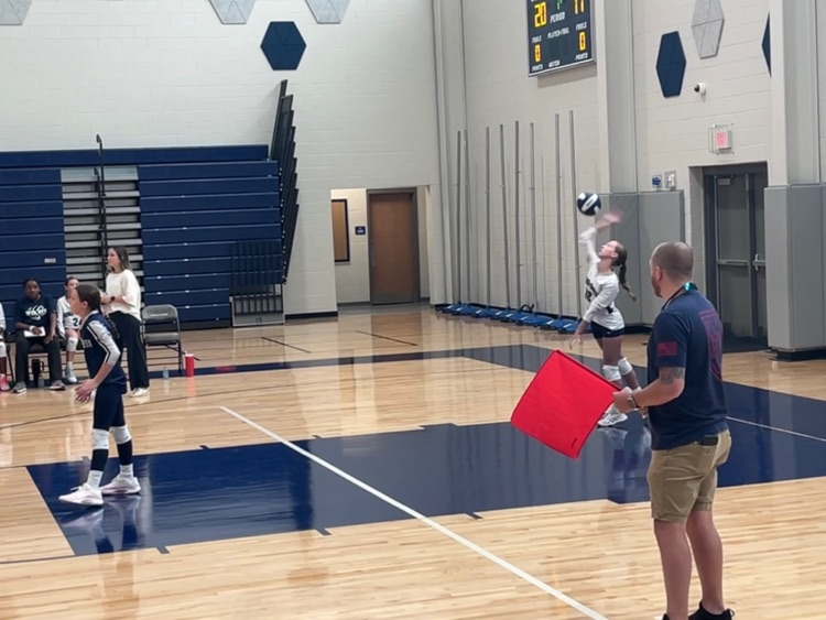 volleyball team