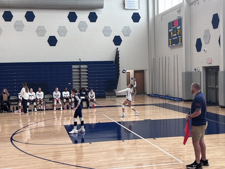 volleyball team