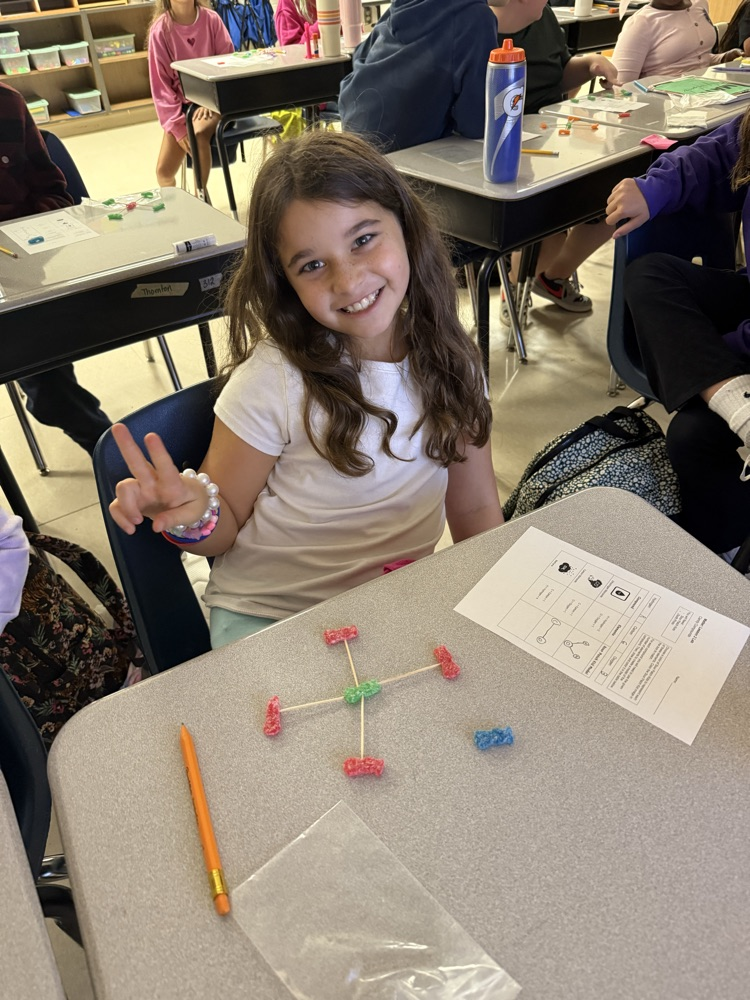 5th Grade Candy Compounds