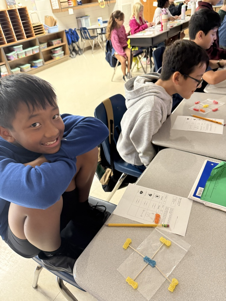 5th Grade Candy Compounds