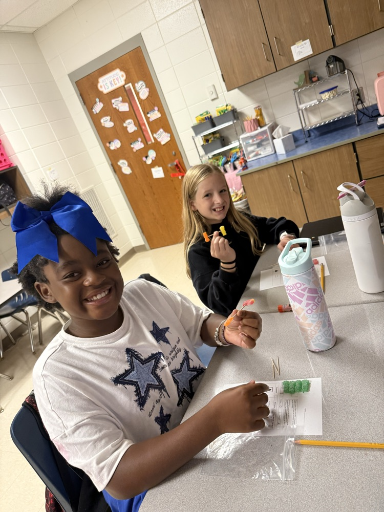 5th Grade Candy Compounds