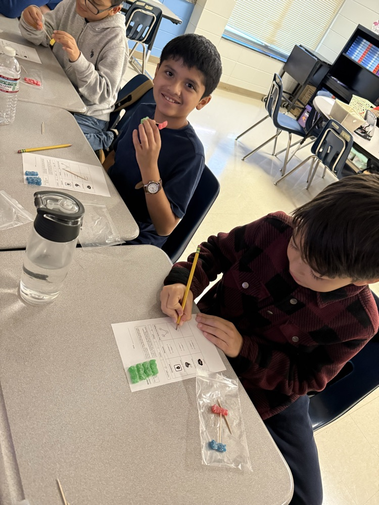 5th Grade Candy Compounds