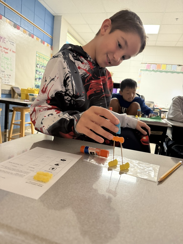 5th Grade Candy Compounds