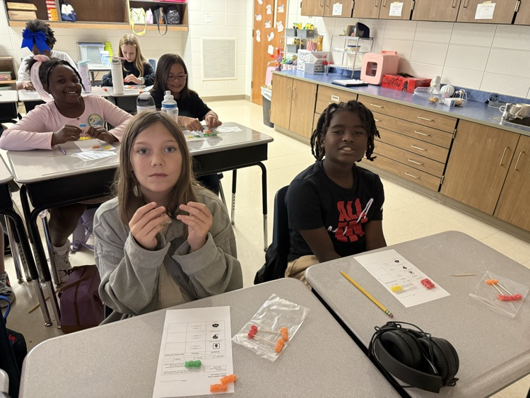 5th Grade Candy Compounds