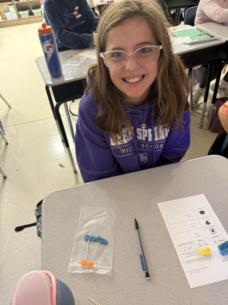 5th Grade Candy Compounds