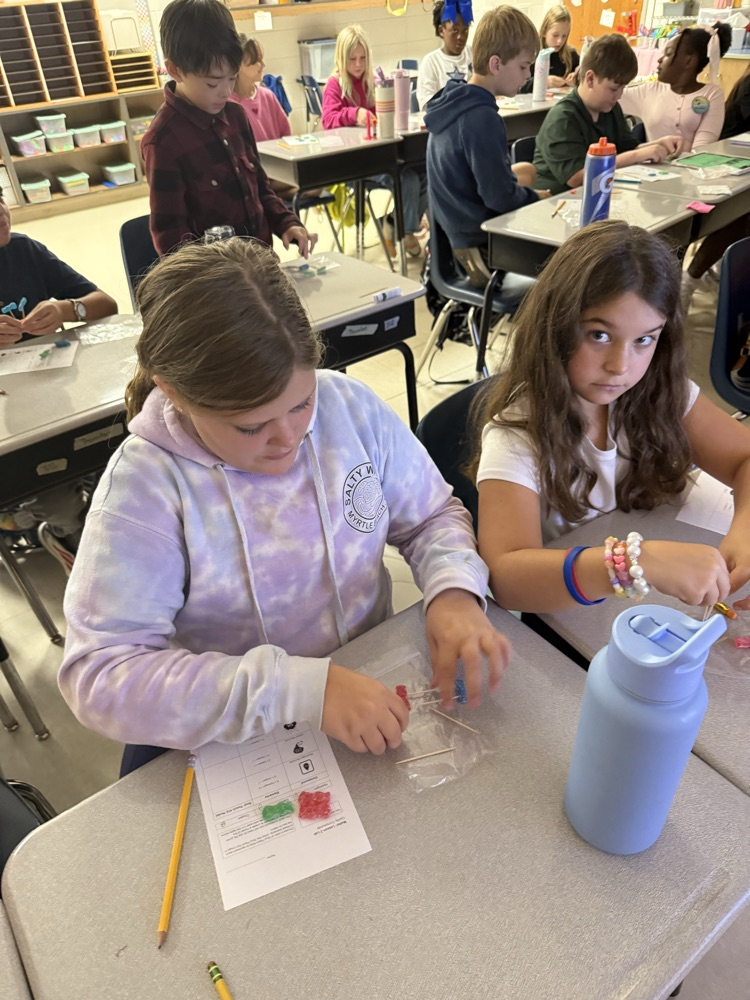 5th Grade Candy Compounds