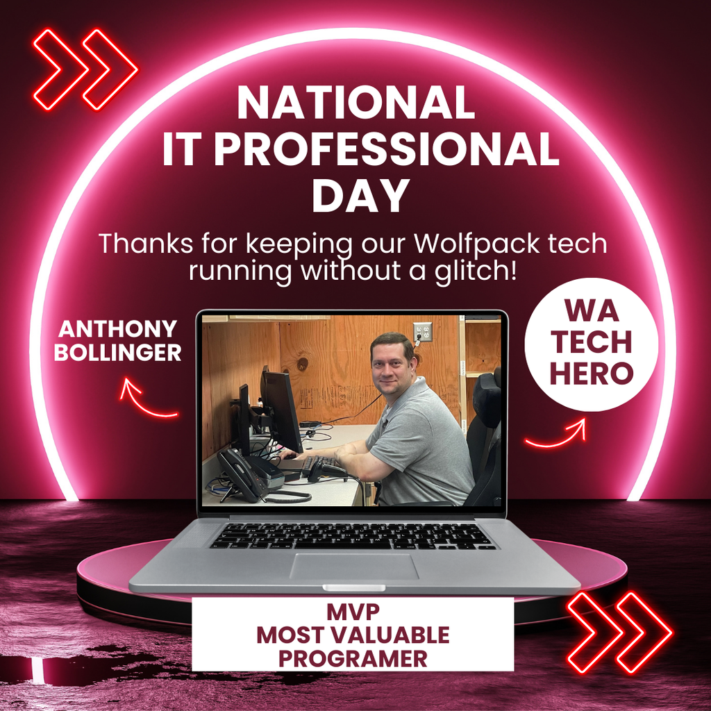 national IT professionals day