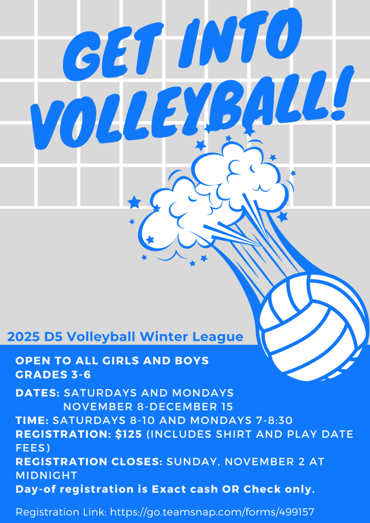 volleyball flyer
