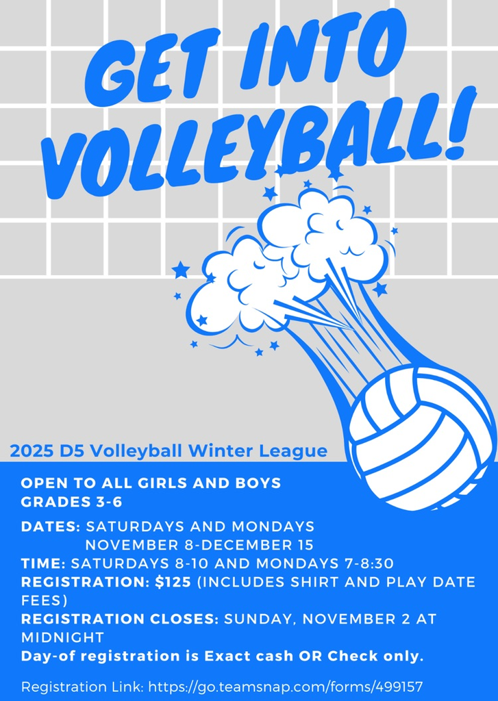 volleyball flyer