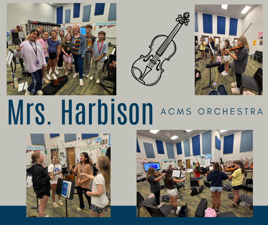 orchestra pictures