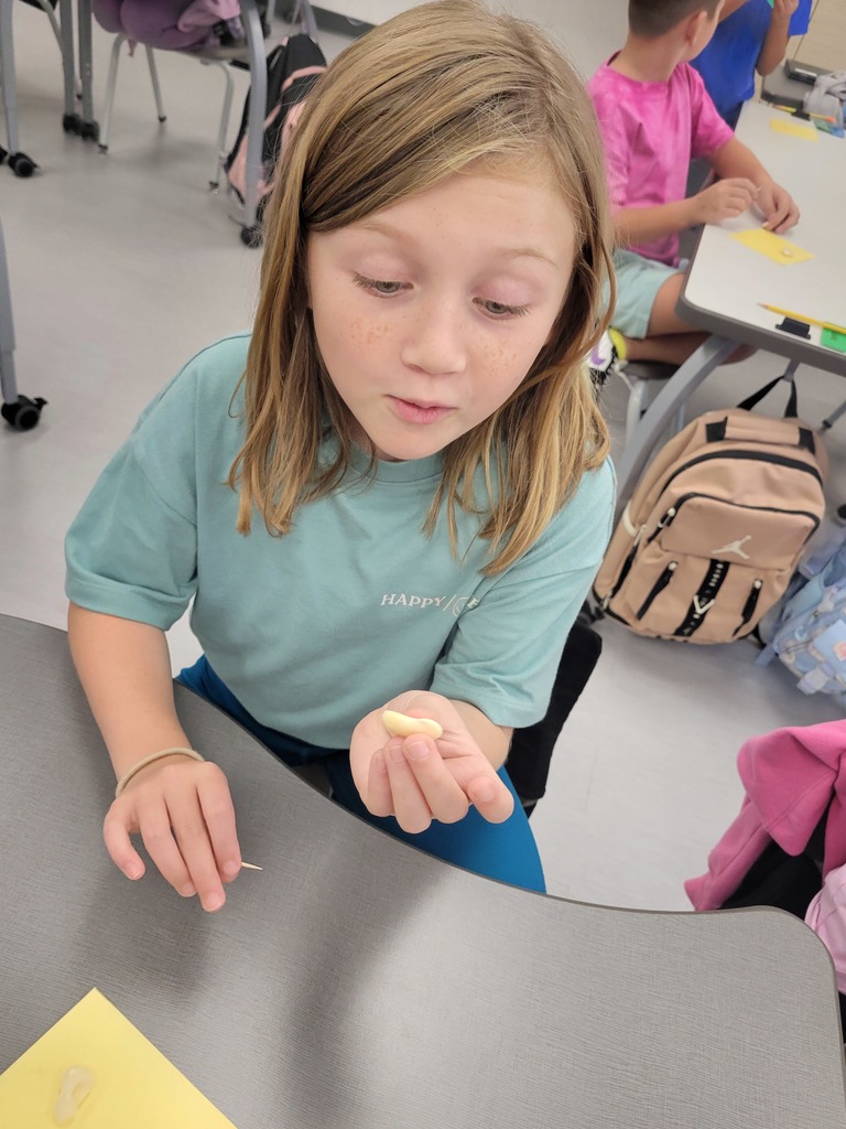 varner's science- bean disecting