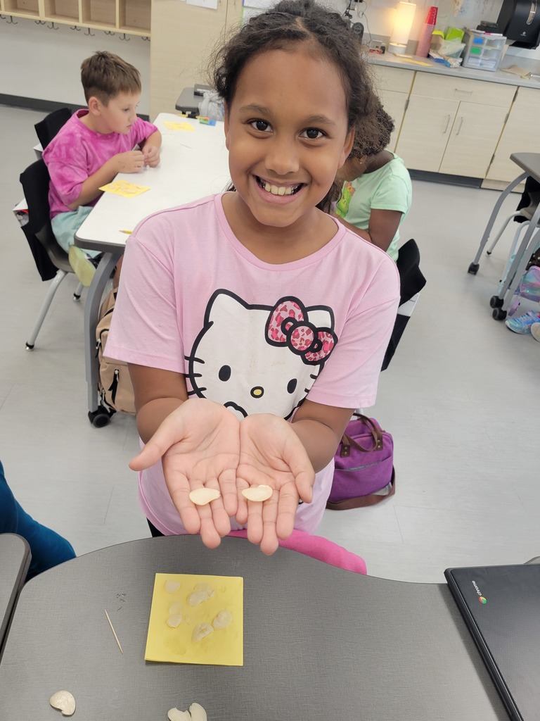 varner's science- bean disecting