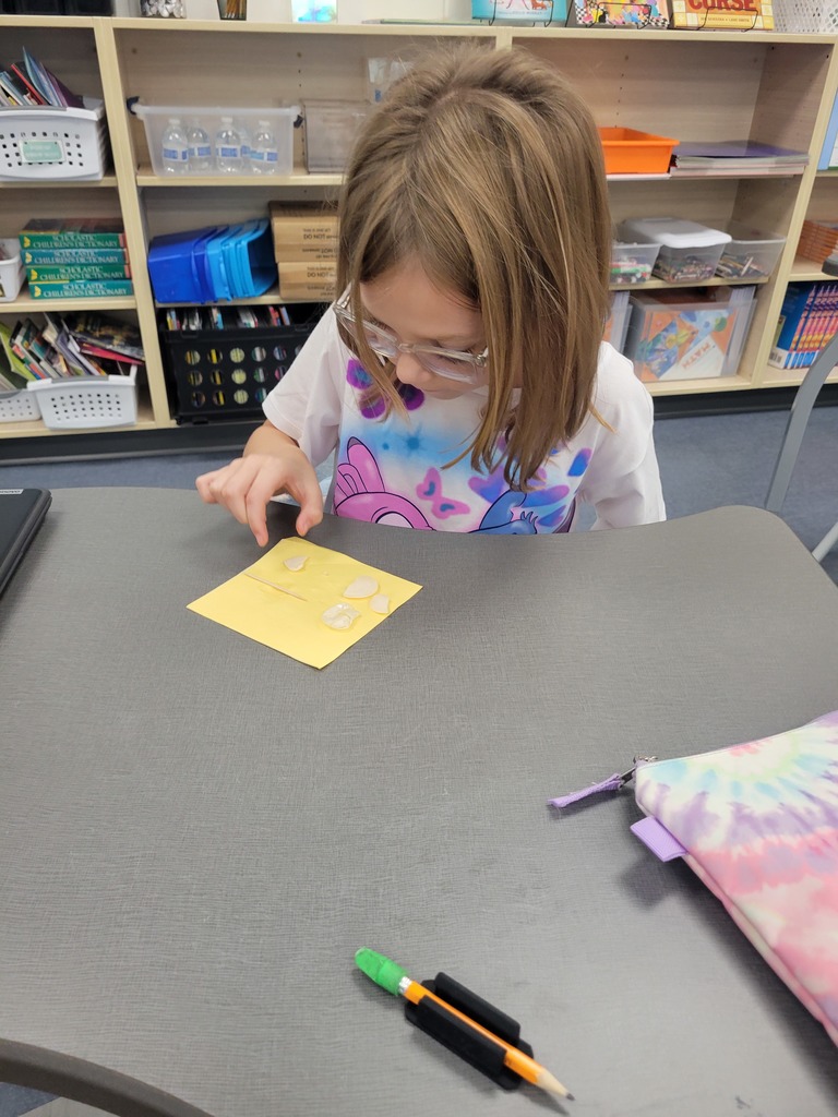 varner's science- bean disecting