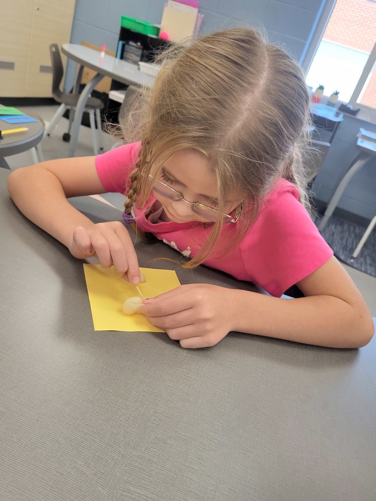 varner's science- bean disecting