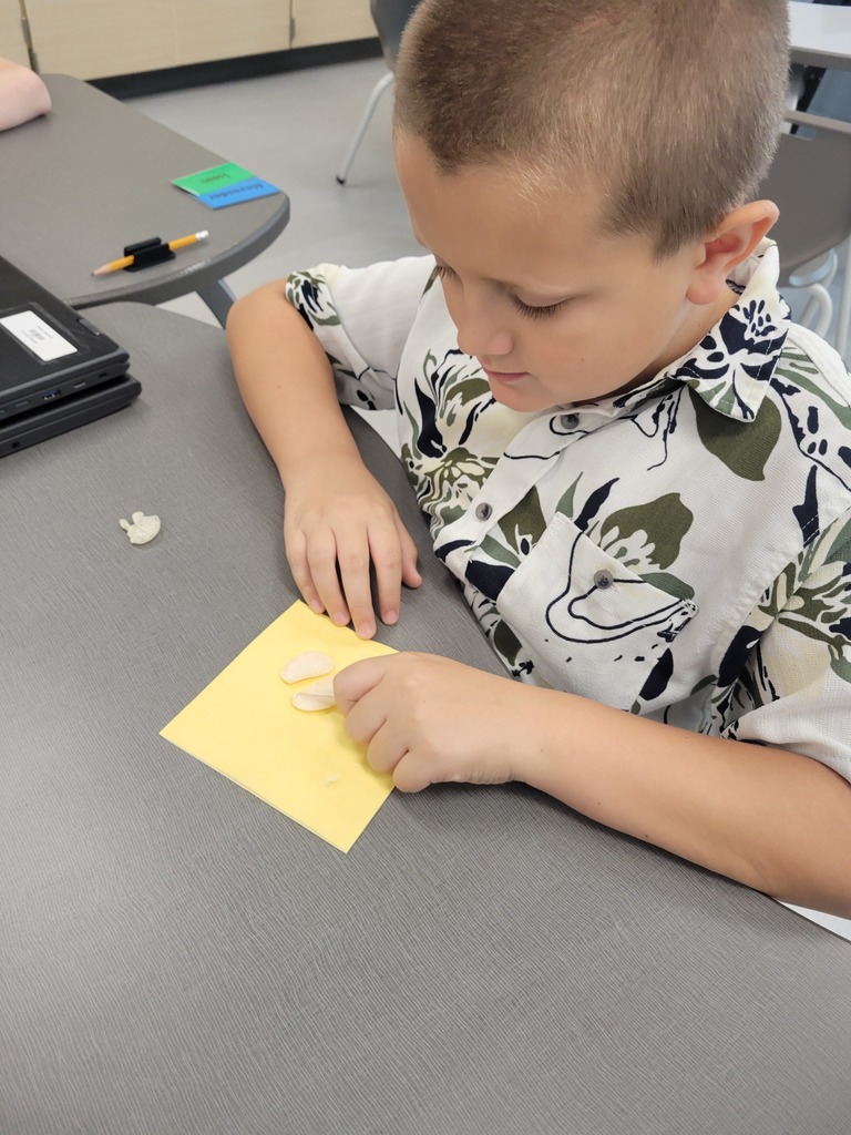 varner's science- bean disecting