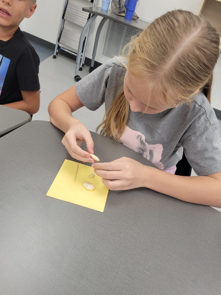 varner's science- bean disecting