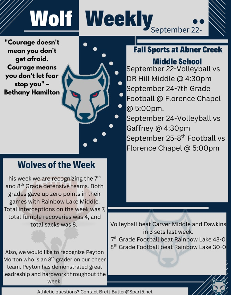 newsletter 