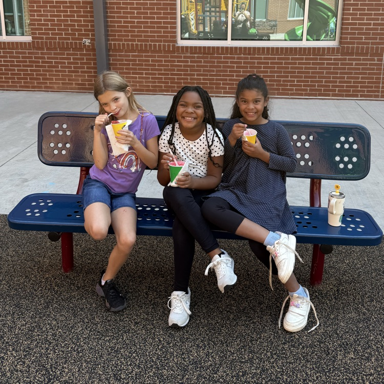 Kona ice