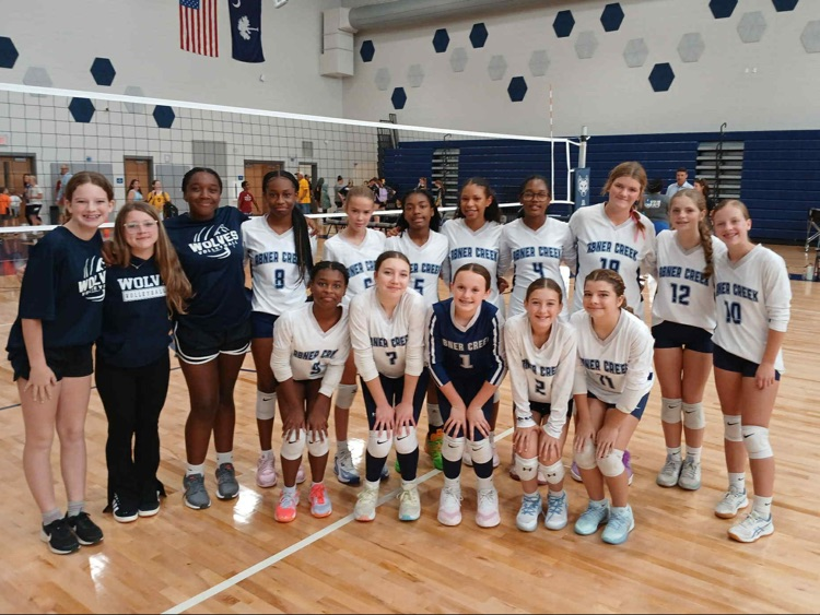 volleyball team 