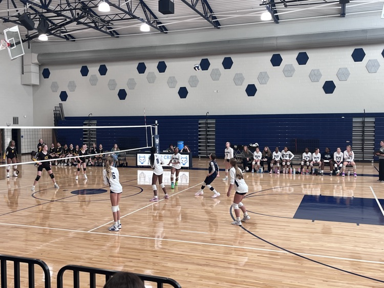 volleyball game