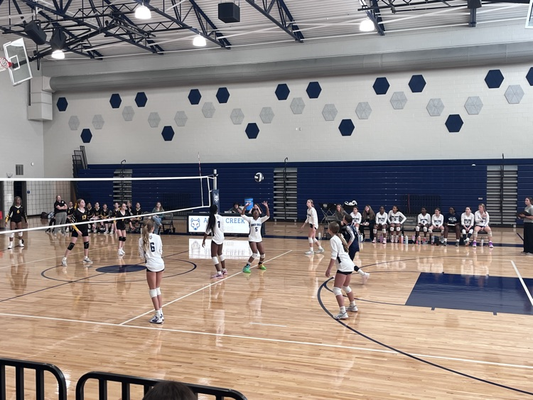 volleyball game