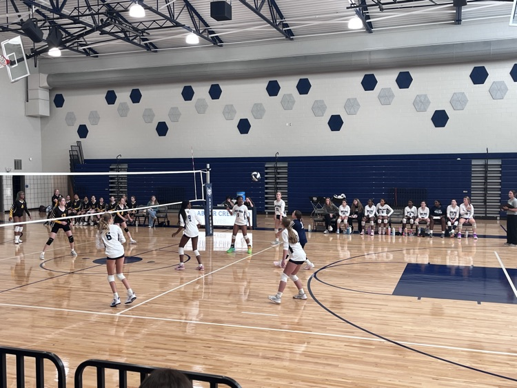 volleyball game