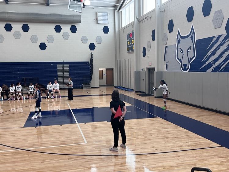 volleyball game