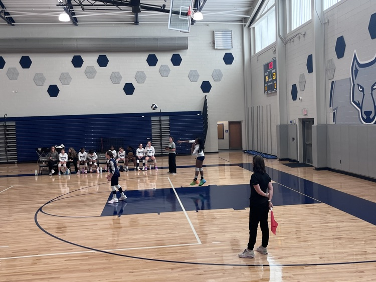 volleyball game