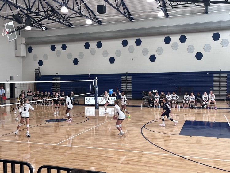 volleyball game